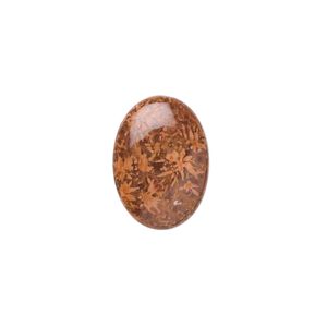 Brown chrysanthemum stone 1pkg4, calibrated oval cab natural 18x13mm