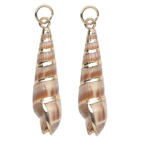Drop, auger shell (natural) and gold-finished steel, 27x7mm. Sold per pkg of 2. image number 0