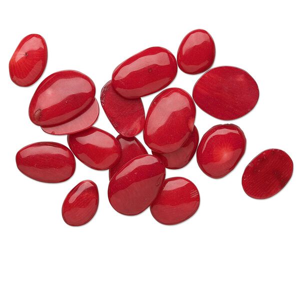 Cabochon, bamboo coral (dyed), red, 10x8mm-25x15mm non-calibrated freeform, Mohs hardness 3-1/2 to 4. Sold per 25-gram pkg, approximately 15-25 cabochons. image number 0