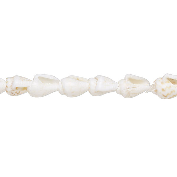 Bead, nassa white shell (bleached), 9x6mm-12x5mm shell, Mohs hardness 3-1/2. Sold per 56-inch strand. image number 0