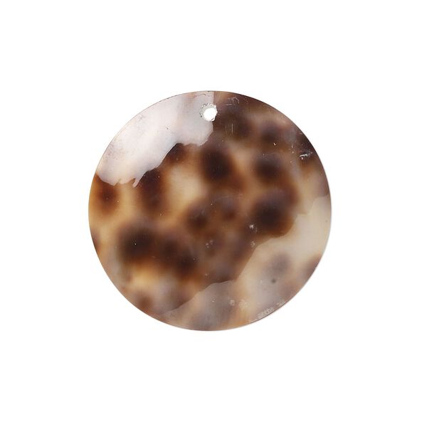 Drop, tiger cowrie shell (natural), 25mm round, Mohs hardness 3-1/2. Sold per pkg of 2. image number 0