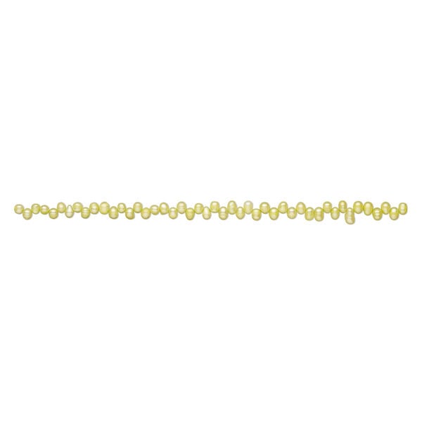 Freshwater pearl 1pkg1, top-drilled rice, 15.5-16 inch chartreuse 7x5mm-11x6mm cultured image number 1