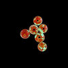 Bead, lampworked glass, clear / red / glow-in-the-dark / gold, 6mm round. Sold per pkg of 6. image number 1