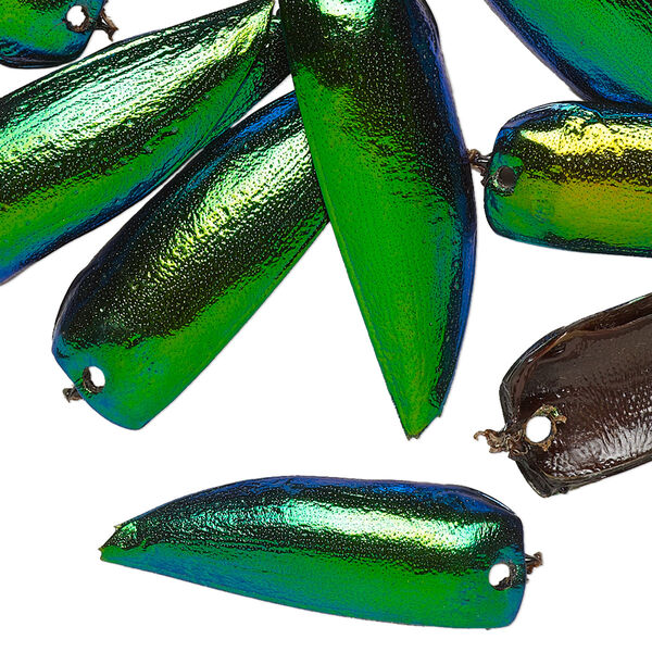 Drop, green jewel beetle, deep emerald green and iridescent blue, 25x8mm-35x10mm single-sided beetle wing. Sold per pkg of 20. image number 0