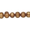 Freshwater pearl 1pkg1, semi-round, 14 inch dark golden copper 7-10mm cultured image number 0