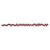 Freshwater pearl 1pkg1, top-drilled rice, 14 inch dark fruit punch 7x5mm-10x7mm cultured image number 1