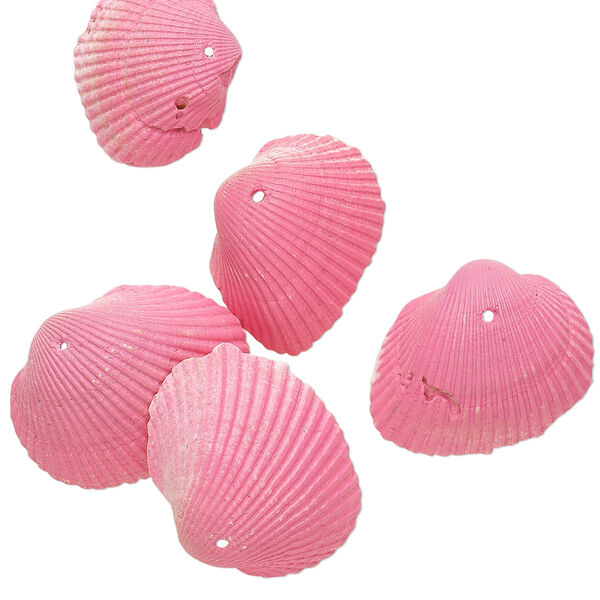 Focal mix, painted vintage Japanese ark shell, 26x20mm-38x29mm, Mohs hardness 3-1/2. Sold per pkg of 5. image number 0