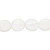 Mother-of-pearl shell 1pkg1, flat oval bead 15 inch white 12x10mm image number 0