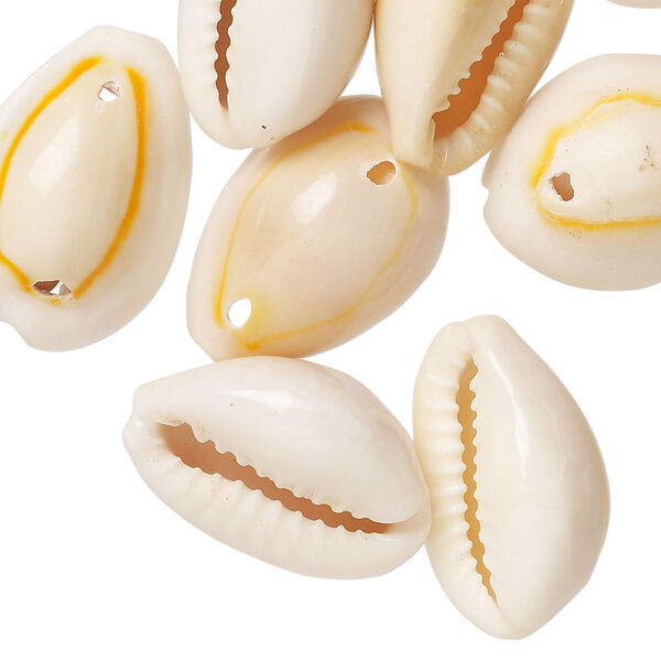 Bead 1pkg50, cowrie shell (natural), 15x7mm-25x12mm double-drilled, Mohs hardness 3-1/2. image number 0