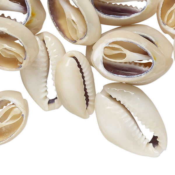 Component mix, cowrie shell (natural), 13x9mm-24x18mm undrilled, Mohs hardness 3-1/2. Sold per 160-gram pkg, approximately 60-120 shells. image number 0