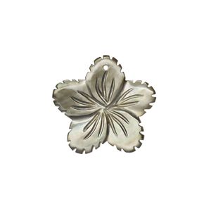 Drop, black lip shell (natural), pkg/2, 19x19mm-21x21mm flower.