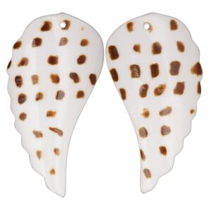 Focal, tiger cowrie shell (natural), 39x21mm-42x22mm single-sided hand-cut carved wing, Mohs hardness 3-1/2. Sold per pkg of 2.