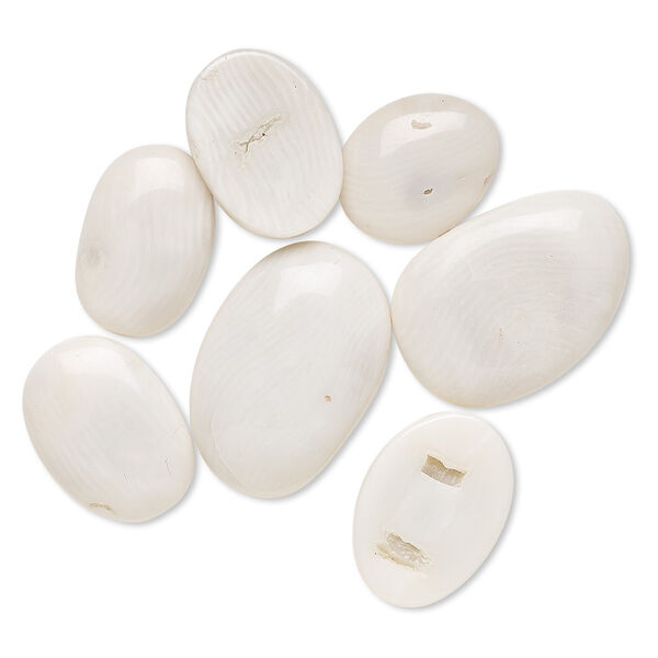 Cabochon, bamboo coral (bleached), white, 18x12mm-27x20mm non-calibrated freeform, Mohs hardness 3-1/2 to 4. Sold per 25-gram pkg, approximately 15-25 cabochons. image number 0