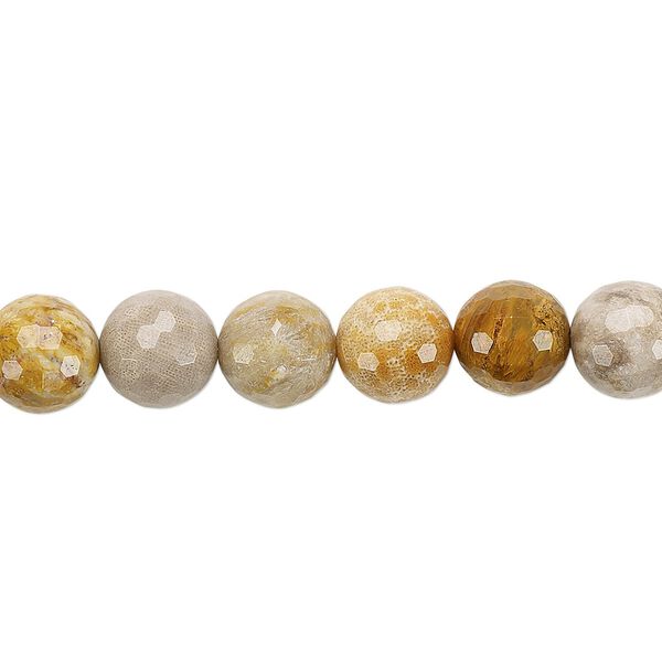 Indonesian fossil coral 1pkg1, faceted round bead natural 8 inch 8mm image number 0