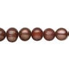 Freshwater pearl 1pkg1, semi-round, 14 inch red brown 8-10mm cultured image number 0