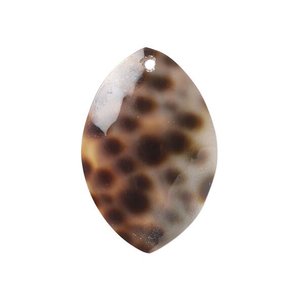Focal, tiger cowrie shell (natural), 30x22mm marquise Mohs hardness 3-1/2. Sold per pkg of 2. image number 0