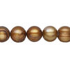 Freshwater pearl 1pkg1, semi-round, 15 inch antique golden copper 9-13mm cultured image number 0
