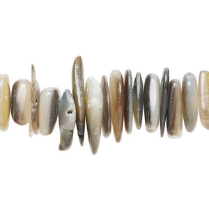 Bead 1pkg1, black lip shell / gold lip shell / mother-of-pearl shell (natural / bleached), medium to extra-large chip, 15 inches.
