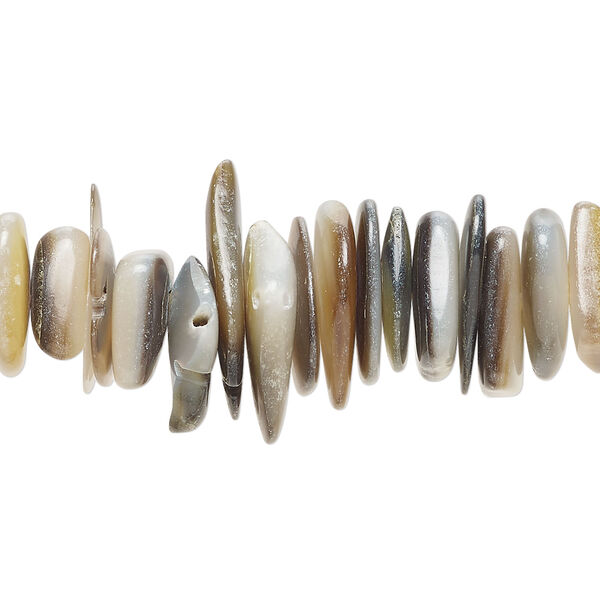 Bead 1pkg1, black lip shell / gold lip shell / mother-of-pearl shell (natural / bleached), medium to extra-large chip, 15 inches. image number 0