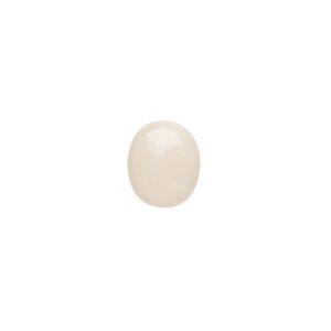 Cabochon, bamboo coral (bleached), white, 12x10mm calibrated oval, Mohs hardness 3-1/2 to 4. Sold per pkg of 2.