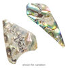 Focal and drop, abalone shell (natural), 16x17mm-36x25mm freeform, Mohs hardness 3-1/2. Sold per 1-ounce pkg, approximately 20-25 pieces. image number 1