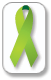 Lime Green Ribbon