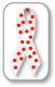 White with Red Dots Ribbon