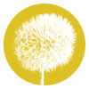 dandelion image