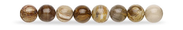 Petrified Wood