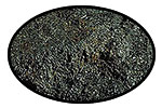 Bituminous Coal