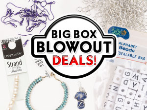 New Big Box Blowout Items