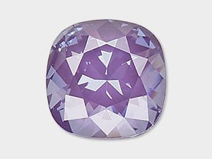 Purple Ignite