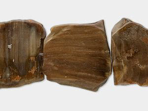 Petrified Wood