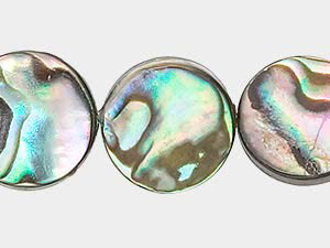 Paua Shell