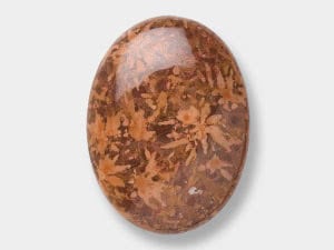 Chrysanthemum Stone