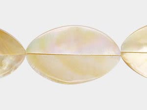 Golden Lip Shell