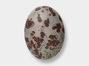 Crazy Horse Stone