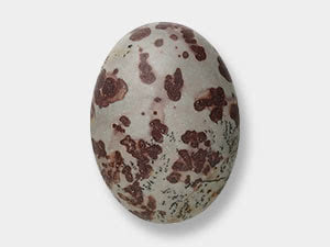 Crazy Horse Stone