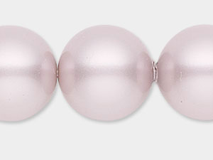 Powder Rose