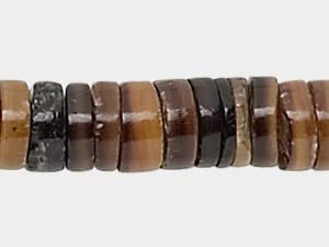 Pen Shell