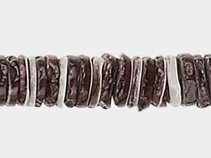Oyster Shell
