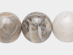 Fossil Coral