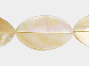Golden Lip Shell